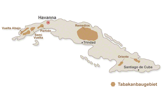 Tabakanbau in Kuba