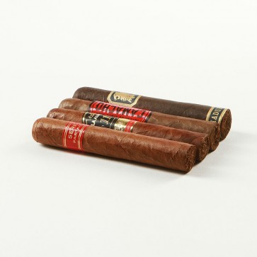 Discovery Spicy Robusto Sampler