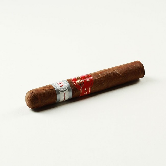 Zigarre Vega Fina Sumum 2014 - Dominikanische Zigarren - Toro