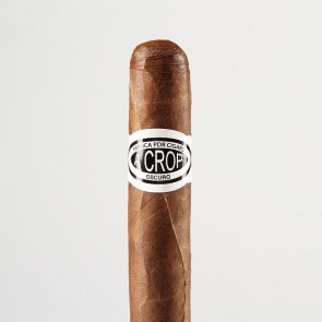 PDR A Crop Robusto Oscuro