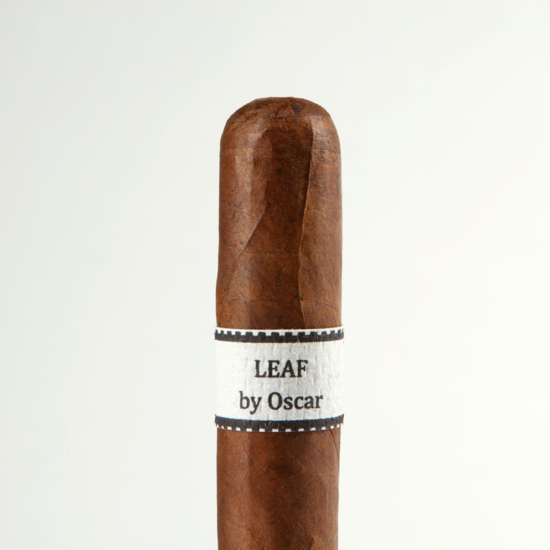The Leaf by Oscar Corojo